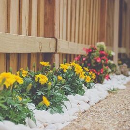 Yellow and red flowers in small garden bed lining a wood fence