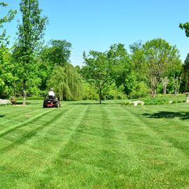 Landscaper mowing lines in lawn